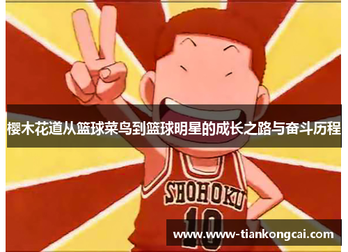 樱木花道从篮球菜鸟到篮球明星的成长之路与奋斗历程