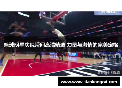 篮球明星庆祝瞬间高清精选 力量与激情的完美定格