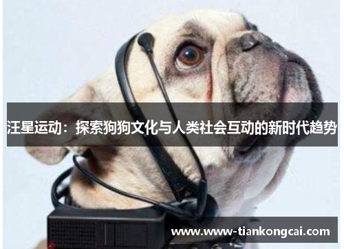 汪星运动：探索狗狗文化与人类社会互动的新时代趋势